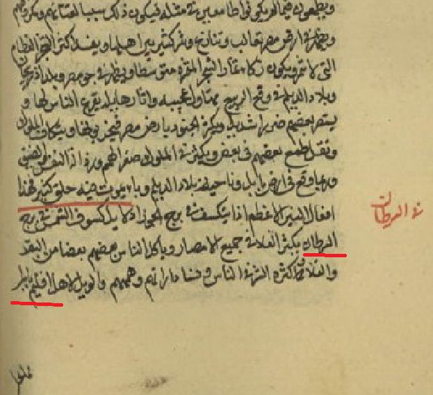 صورة