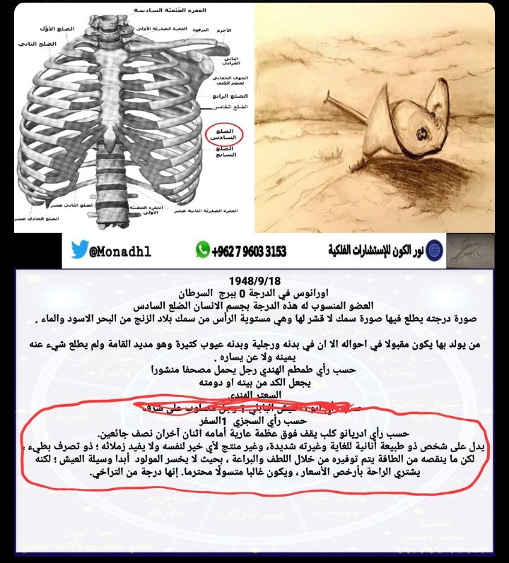 صورة